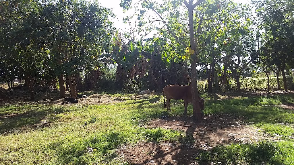 Sare Migori area by Georges  Oluoch Auma