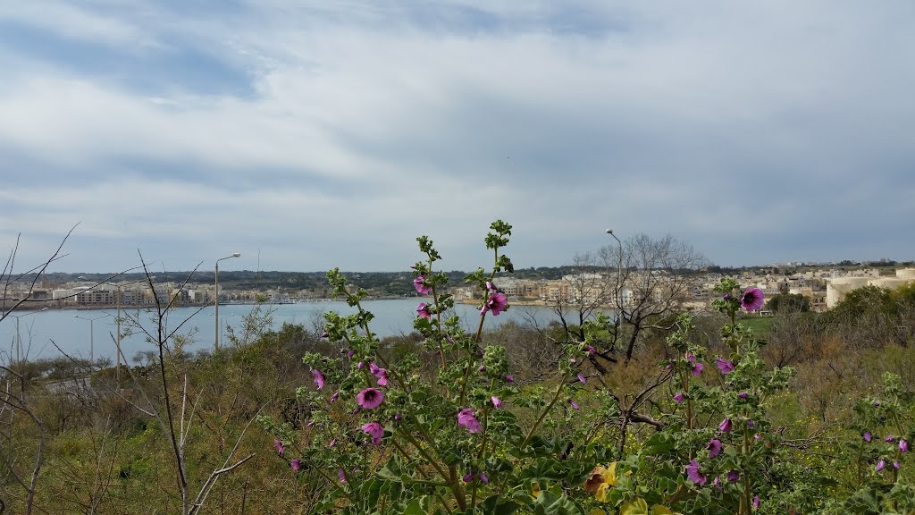 Triq San Lucjan, Marsaxlokk, Malta by mario castro