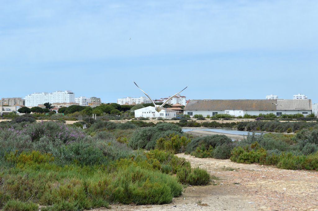 Parque Natural "Los Toruños", Cádiz by Manuel López Gutiérr…