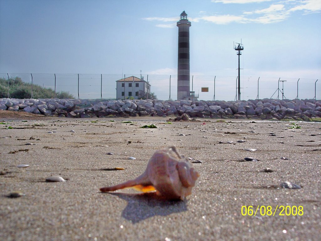 CONCHIGLIA IN BATTIGIA by simmaty