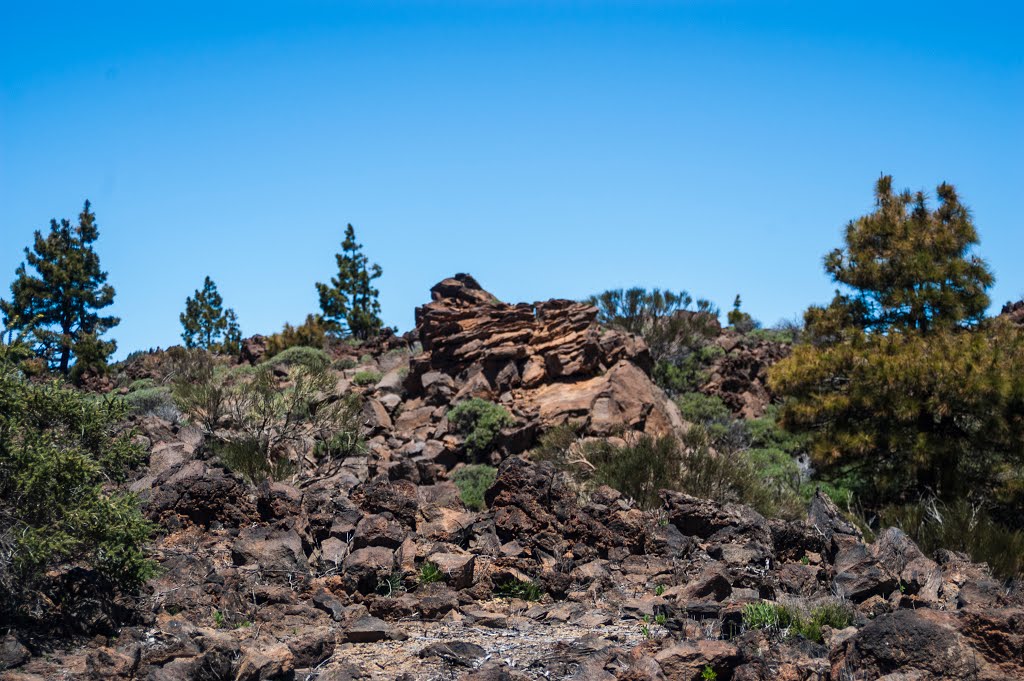 Parque Nacional del Teide by Ángel Ávila Álamo