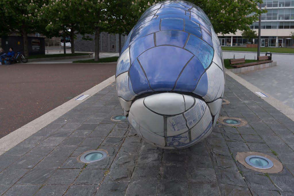 THE BIG FISH NEAR THE LAGAN WEIR IN BELFAST BY JOHN KINDNESS by William Murphy