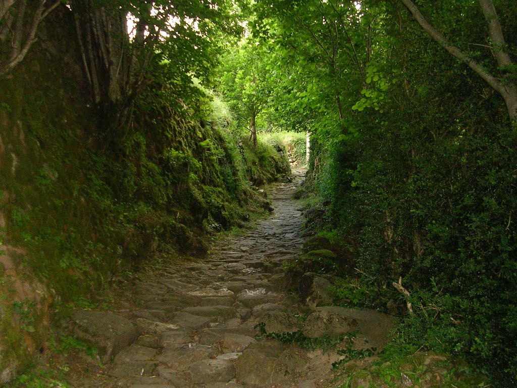 Torla, Huesca, Spain by vbuitrago