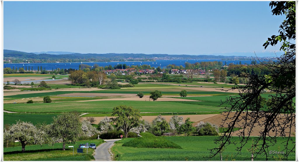 Blick vom Galgenberg auf Moos und den Untersee by Stevia (bye bye Pano…