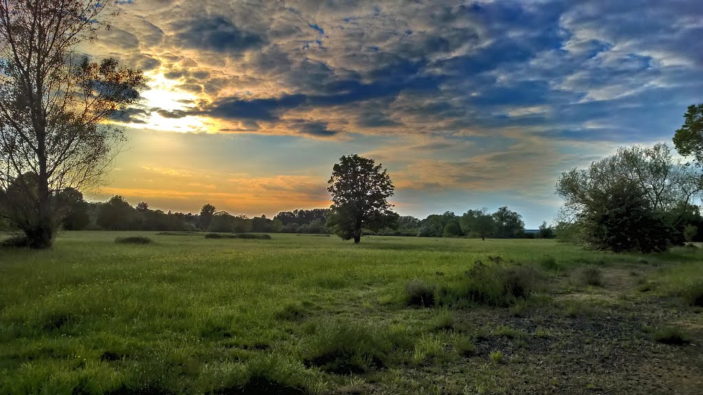 Hanau, Mainwiesen, HDR, 2016 by Holger Hagen