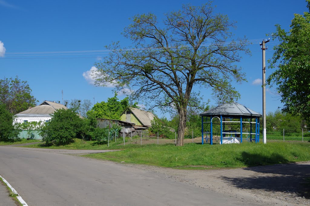 Одна з найстаріших криниць в с. Майданецькому. 05.2016 by Виталий Островский