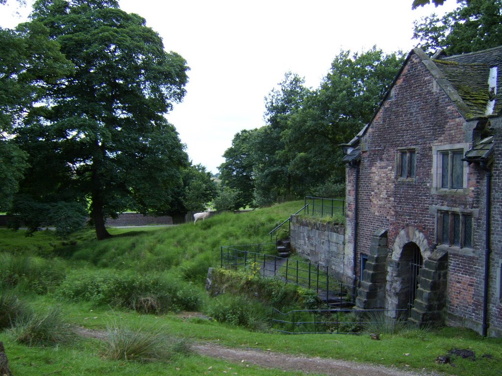 The white hart standing at Dunham Massey by John Mulder