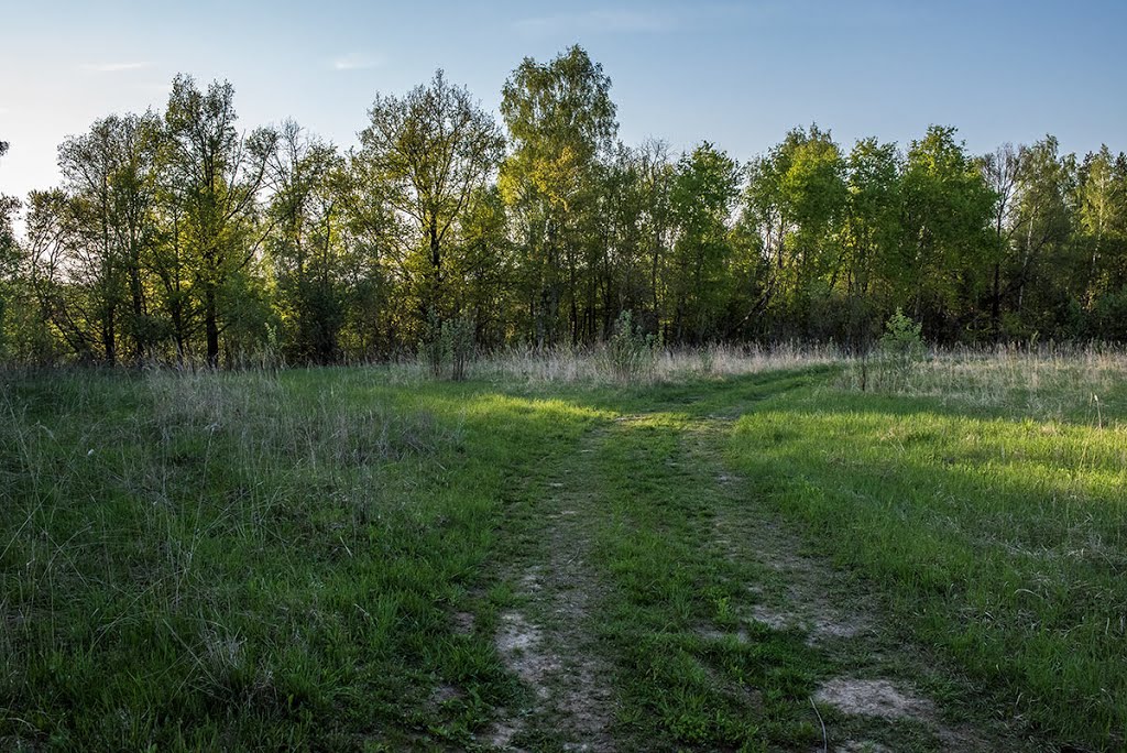 Maloyaroslavetsky District, Kaluga Oblast, Russia by Alex Yakon