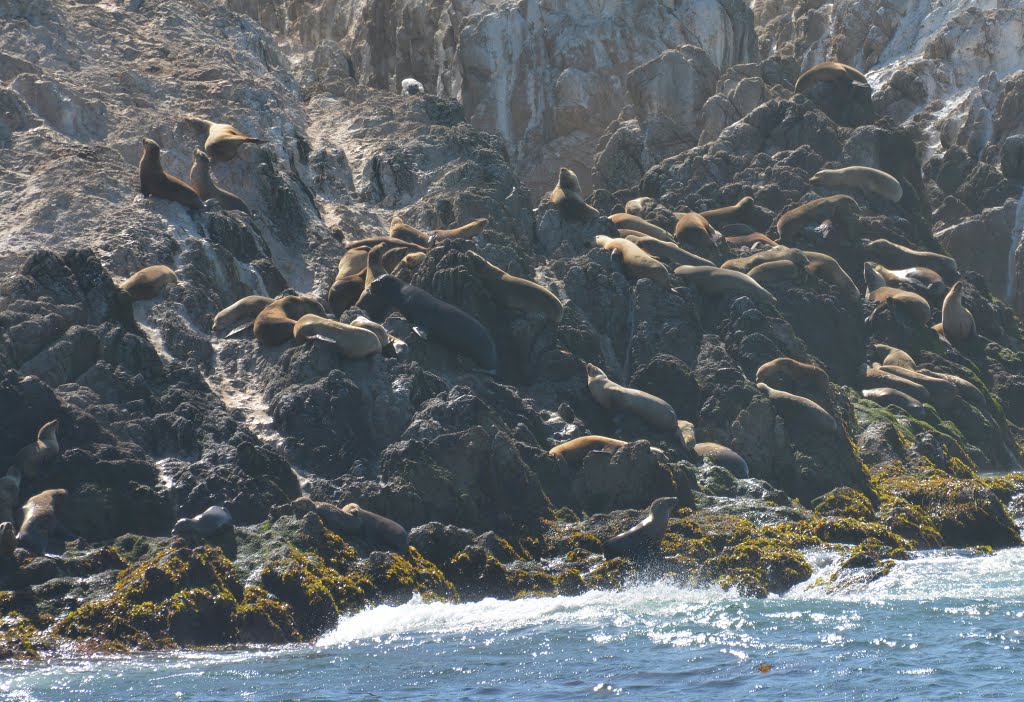 Monterey California by Marco Rey