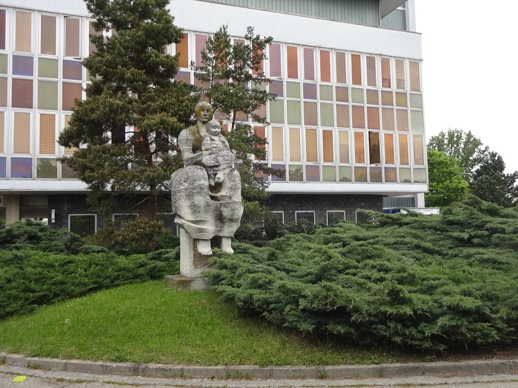 Fakultní nemocnice Bohunice Brno Czechia by Petr Sojka