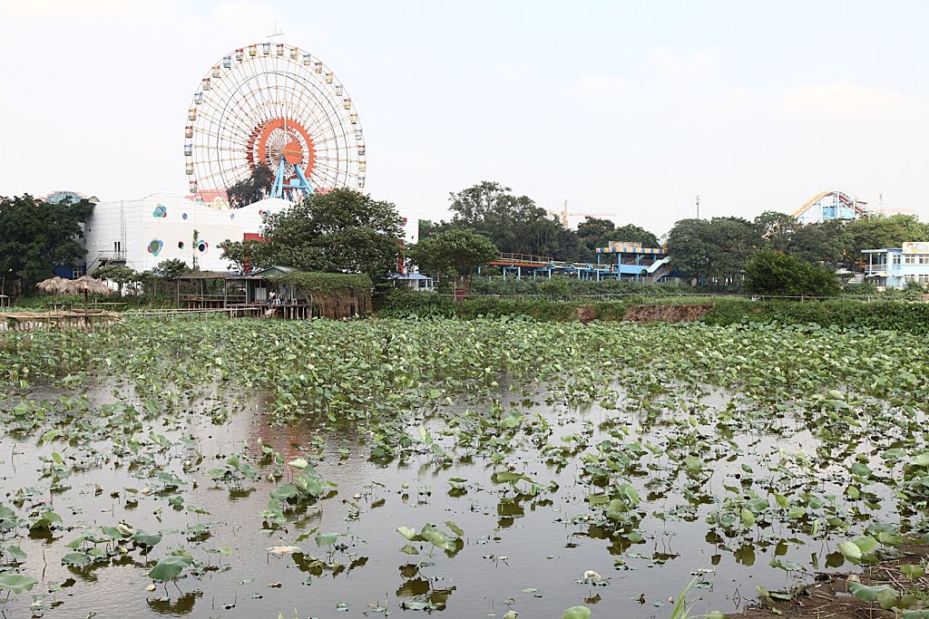 Nhật Tân, Tây Hồ, Hà Nội, Vietnam by Đăng Định