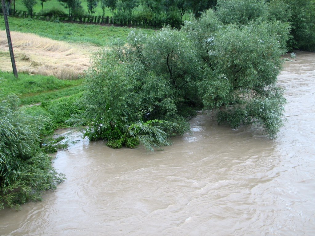 Dunajec – padało całą dobę bez przerwy by Bogso