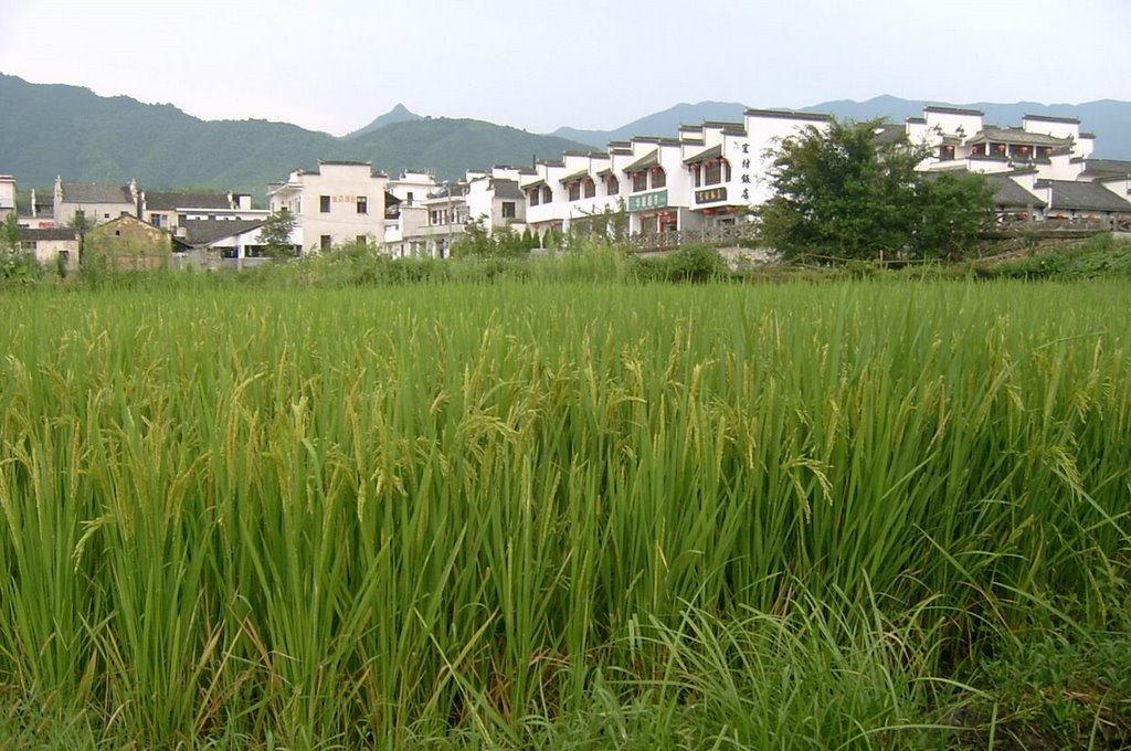 Yixian, Huangshan, Anhui, China by hiberia