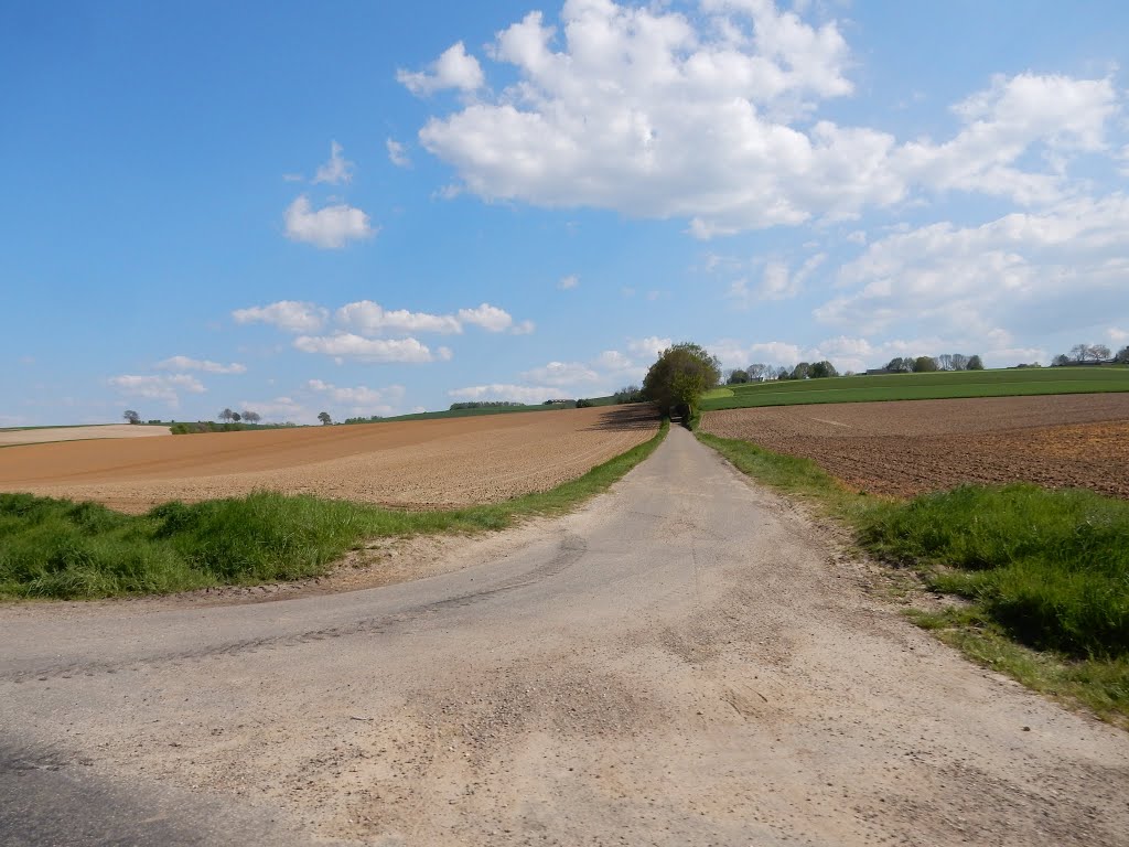 6367 Voerendaal, Netherlands by Danny Danckaert