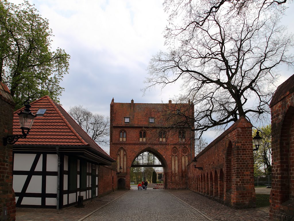 Neubrandenburg, Germany by Biobauer Max