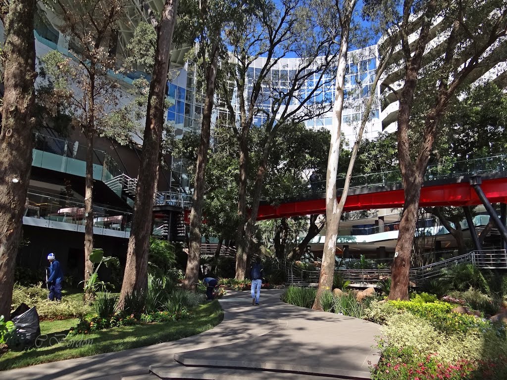 Frente del "Paseo La Galería" - Asunción, Paraguay by Cesar Bordón V.