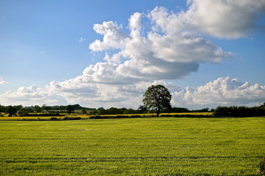 Evening clouds over Gnosall by Shaun Jones