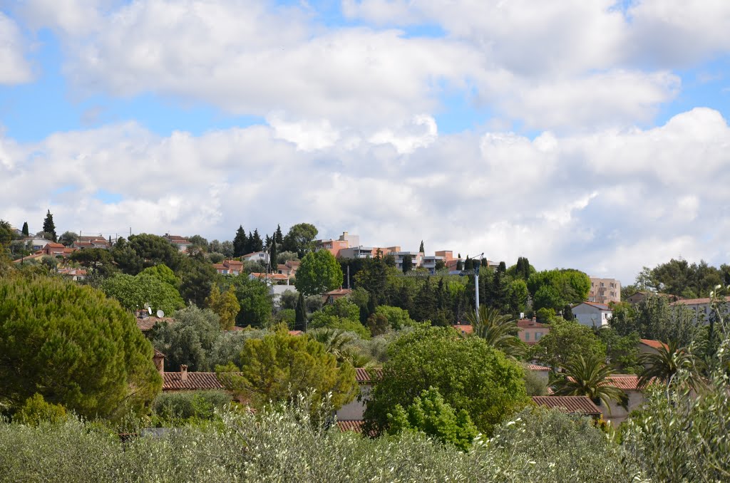 Grasse French Riviera by Nevruz Alievski