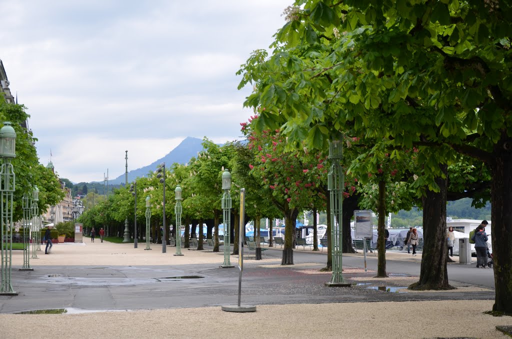 Luzern Schweiz by Nevruz Alievski