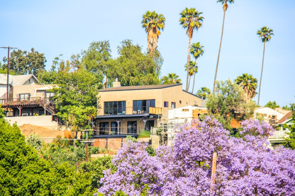 Sights on Sunset Blvd. in Silver Lake, Los Angeles, California by Michael Jiroch