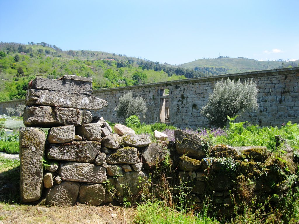 São João de Tarouca, terrenos envolventes ao Mosteiro by A Almeida