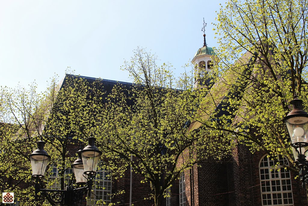 Venlo, lentegroen by Freek Geldof