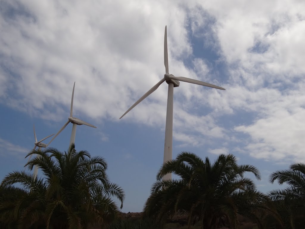 Windmills around the area of Casas Bioclimaticas ITER by Artista49