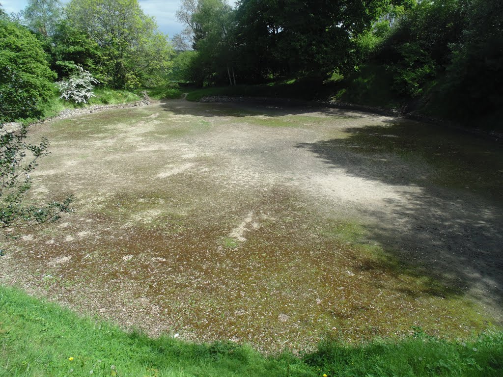 Amphitheatre, Silchester by Robert'sGoogleEarthP…