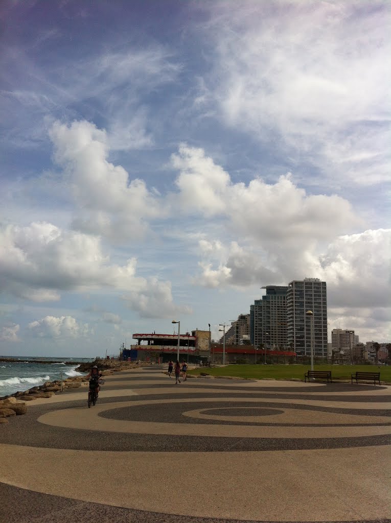 Tel Aviv-Yafo, Israel by Miriam Tarr