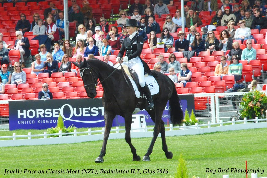 Jonelle Price (NZL) on Classic Moet, Badminton Horse Trials, Gloucestershire 2016 by Ray Bird