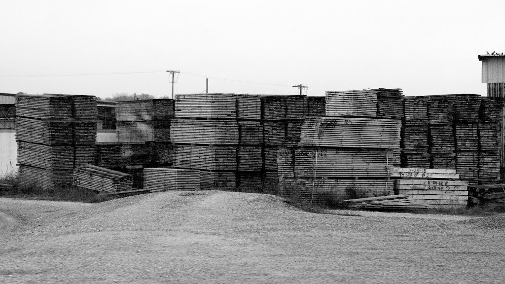 Lumber Field by Brock S.