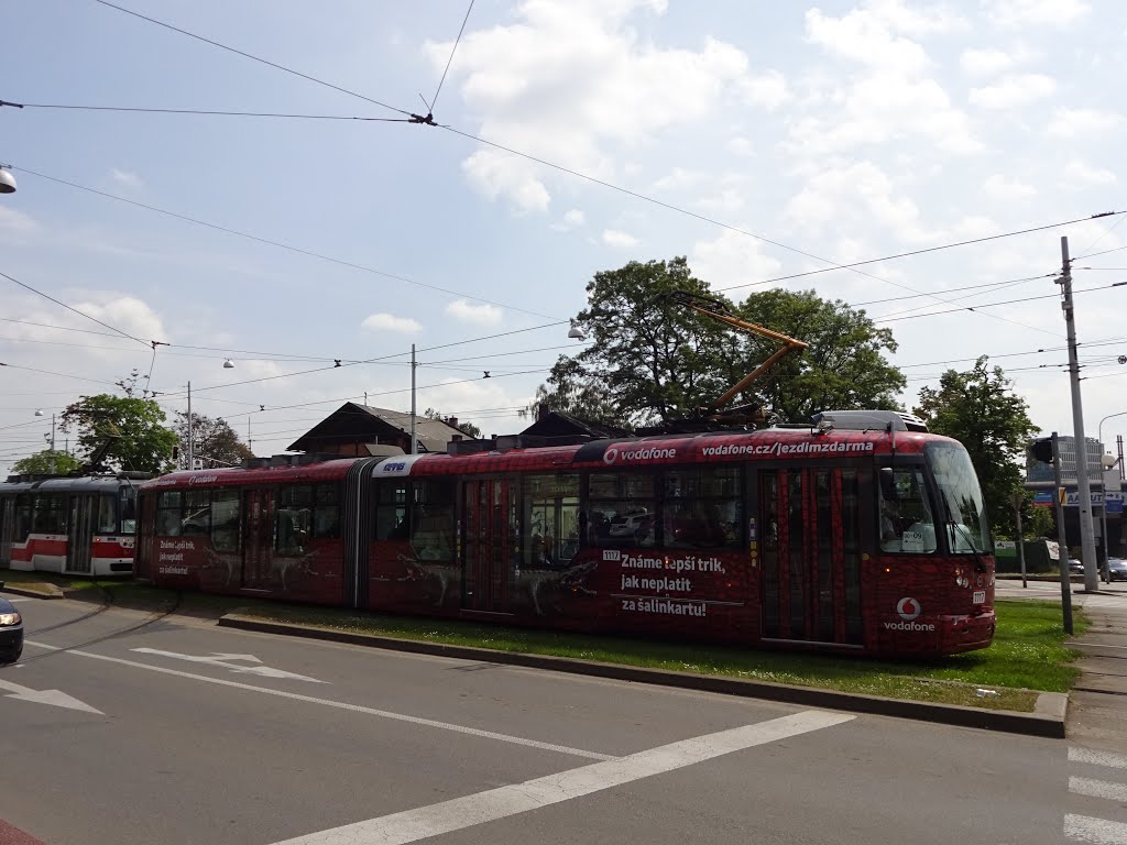 Tramvaj Brno Czechia by Petr Sojka