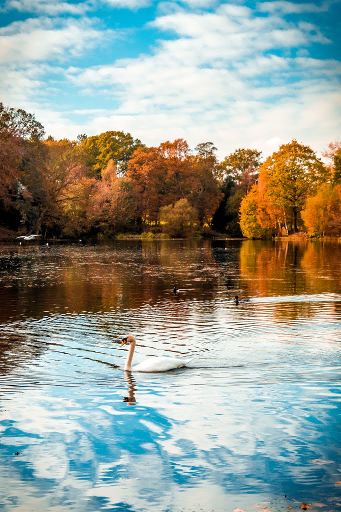 Nostell Priory Lake by Chris Stevenson Phot…