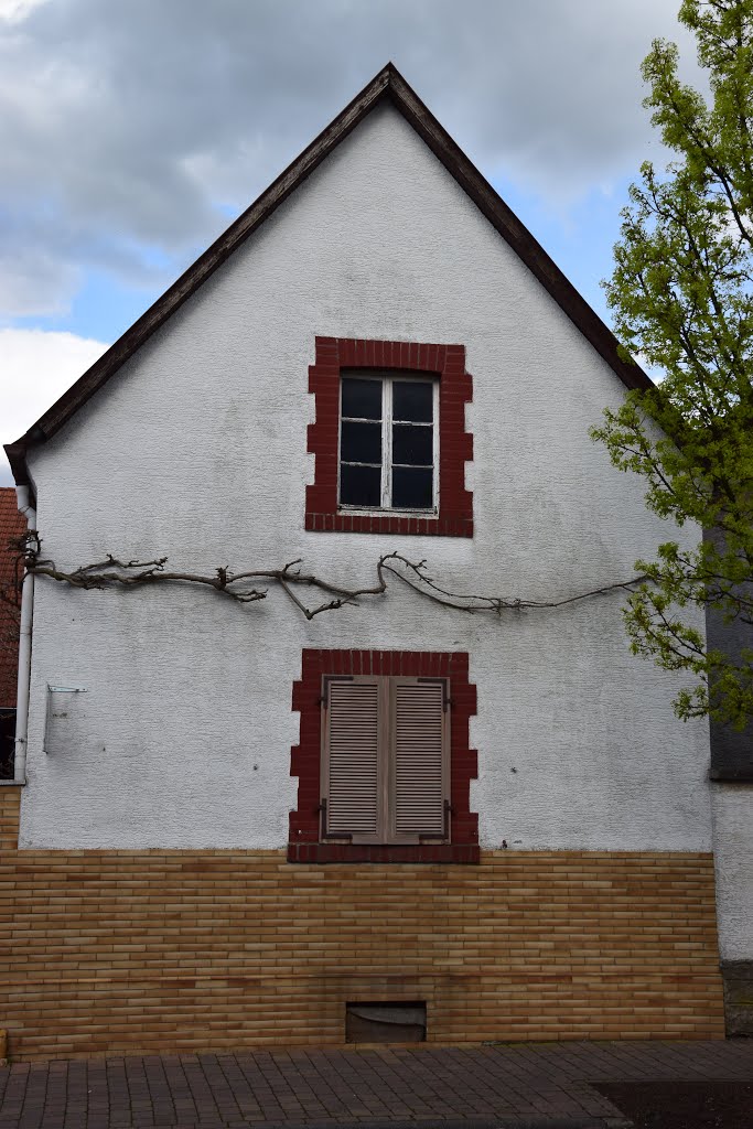 Friedrich-Ebert-Str. 53, Crumstadt, Riedstadt, Hessen, Deutschland by campari0819