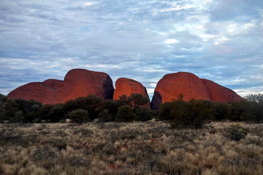 Kata Tjuta by Volodymyr Dvornyk