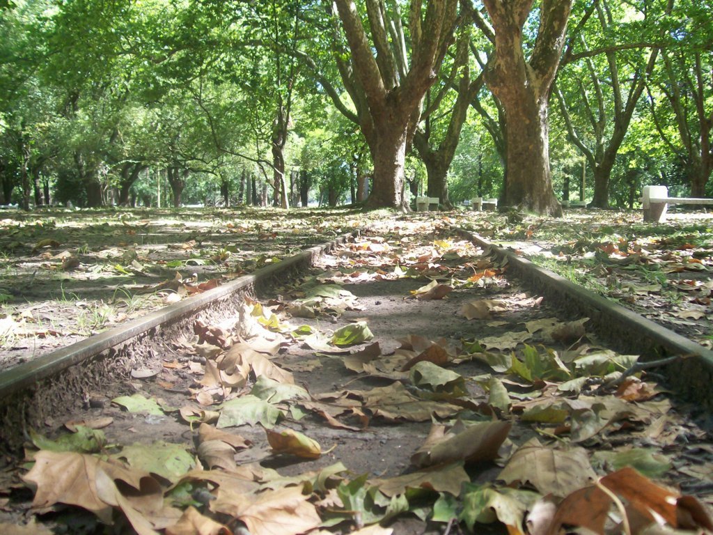 Vias del Trencito del Parque - Azul - Argentina by El Ciri