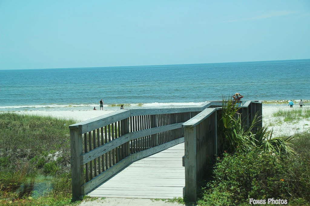 Mexico Beach, FL 32456, USA by Sr. Fox