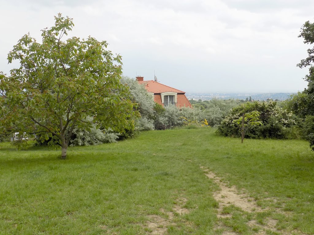 2016-05-19-1442 Távolban a Gellérthegy, kilátás a Farkasréti temető fölötti természetvédelmi területről by járókelő