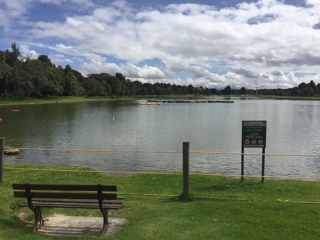 Lago en el Parque Metropolitano by Digital Tiger