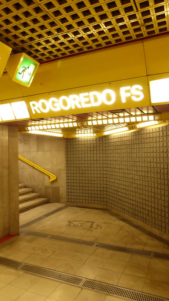 Stazione di metropolitana Rogoredo FS by Vladyslav Savytskyy