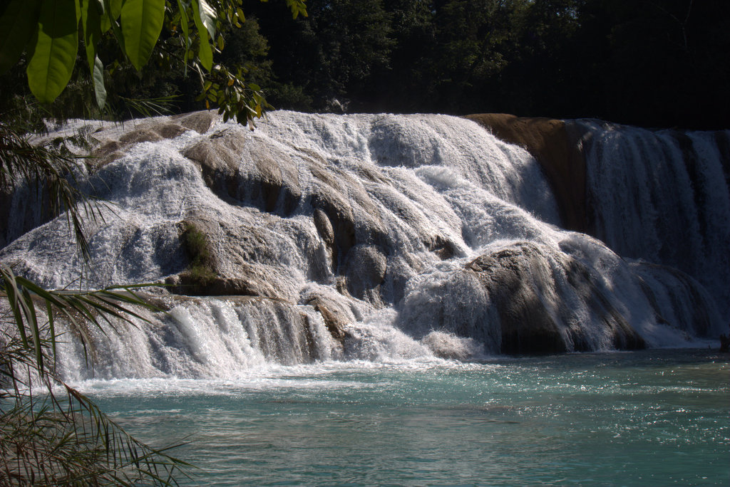 Agua Azul Cascades by Warwick Sellens