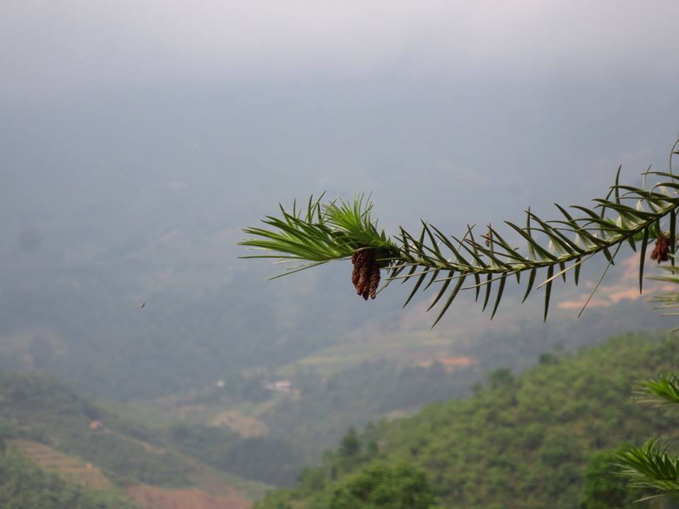 Pải Lủng, Mèo Vạc, Hà Giang, Vietnam by Dao Tam