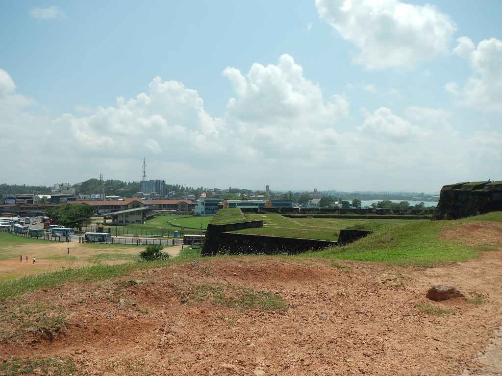 Galle( Chicken) by Gerhard.H