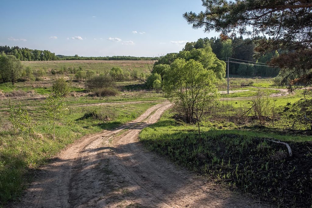 Maloyaroslavetsky District, Kaluga Oblast, Russia by Alex Yakon