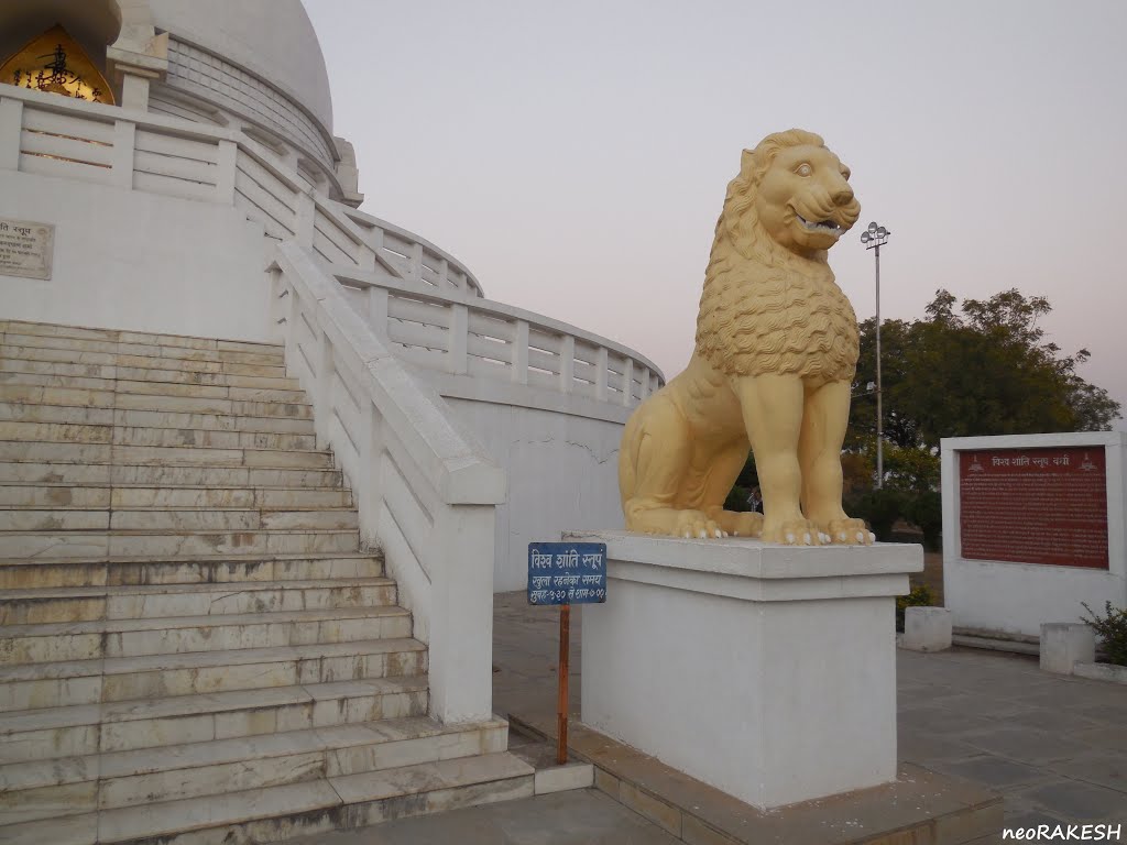 Lion statue evening view at "Vishwa Shanti Stupa" by rakesh sinha