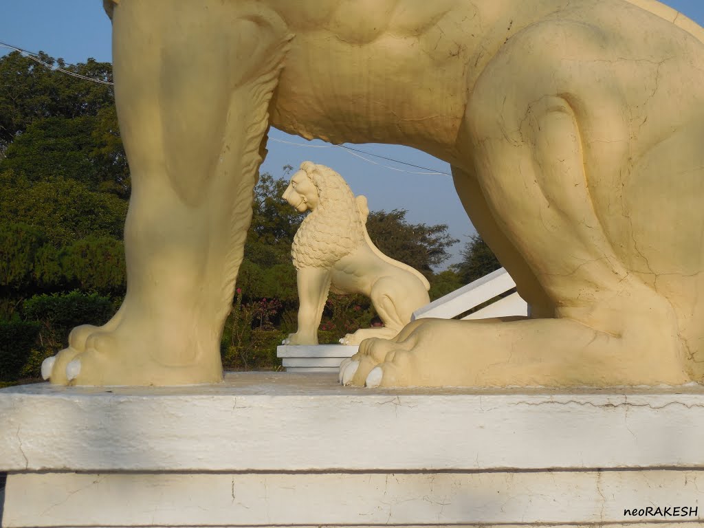 Elegant view of the lions at Vishwa Shanti Stupa by rakesh sinha