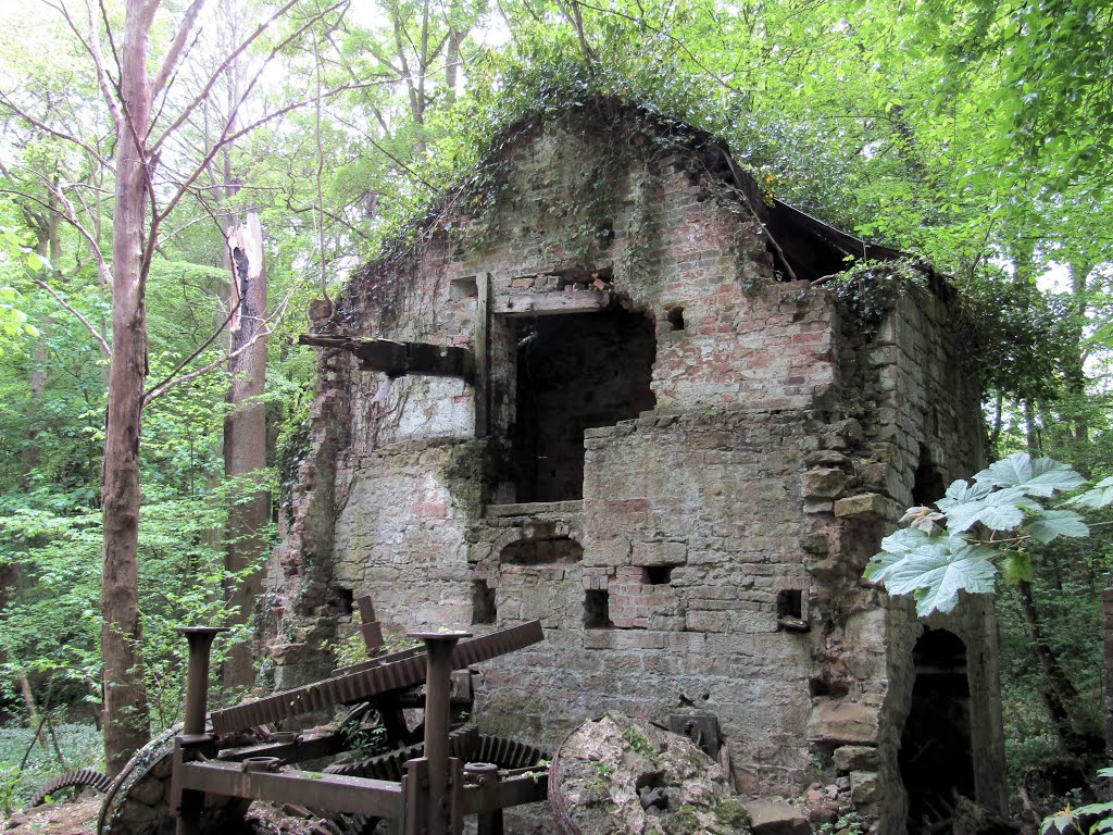 Abandoned Corn Mill, Hawarden. by dave smeg