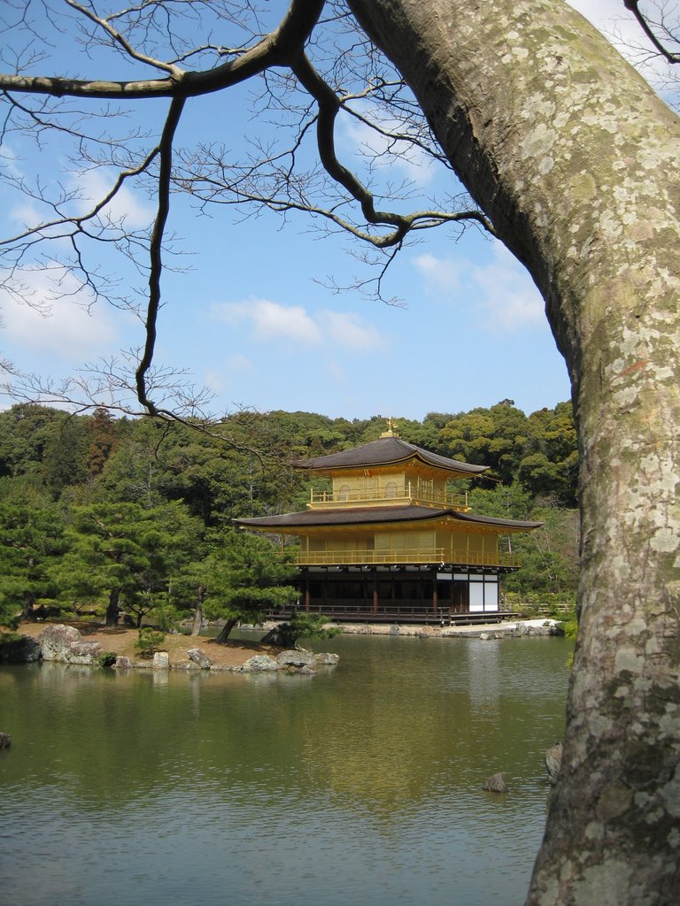 Kinkaku-ji golden pavillon by a.lisi