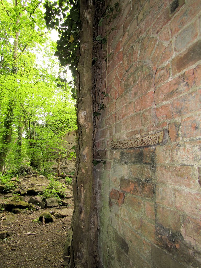 Abandoned Corn Mill, Hawarden. by dave smeg