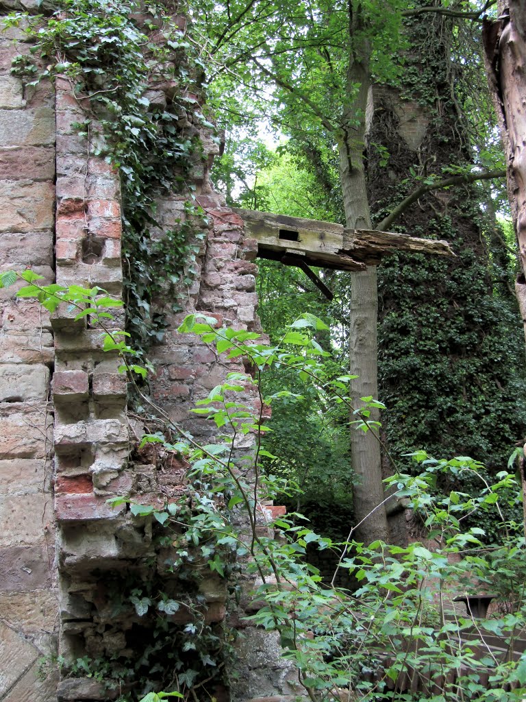 Abandoned Corn Mill, Hawarden. by dave smeg